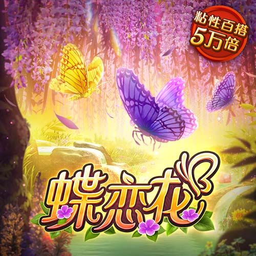 在线观看成人网站安卓版